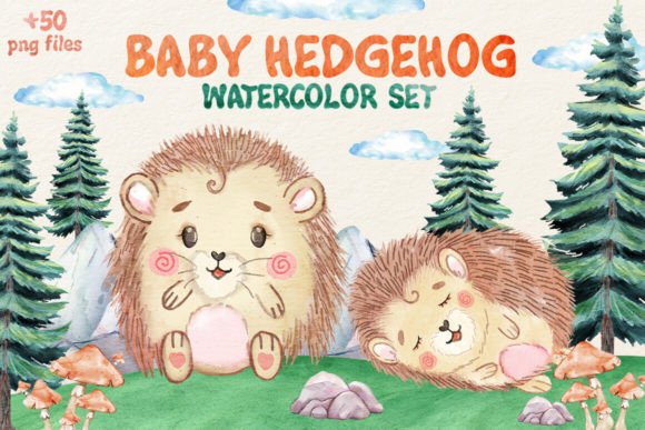 50 Watercolor Hedgehog Clipart Set: Illustrations Review