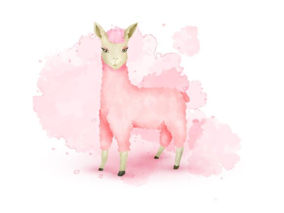 Alpaca Watercolor Clipart Illustration Review
