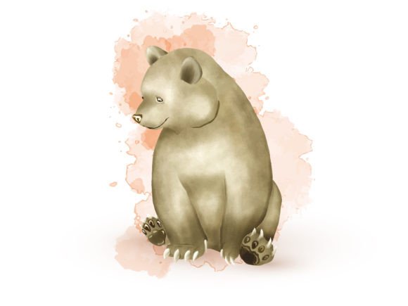Bear Watercolor Clipart Illustrations for Branding