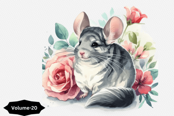 Chinchilla Watercolor Sublimation Illustrations Review