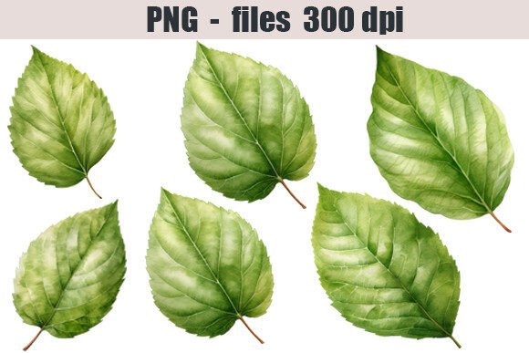 Green Leaves Watercolor Clipart for Illustrations