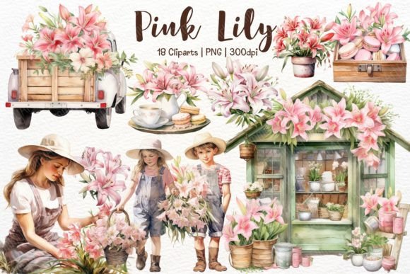 Pink Lily Watercolor Illustrations for Commercial Use