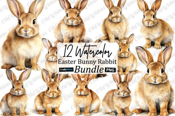 Watercolor Easter Bunny Rabbit Clipart: Illustrations Review