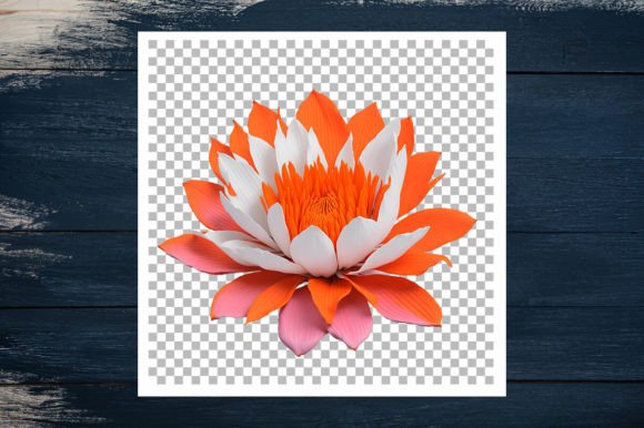 Watercolor Flor Loto De Color Naranja Illustrations Review