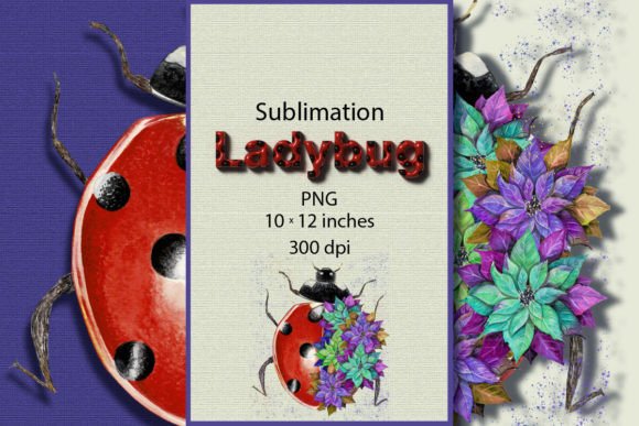 Watercolor Ladybug Sublimation PNG for Illustrations