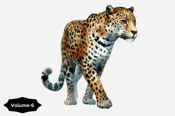 Watercolor Leopard Clipart Volume 6: Editorial Illustrations