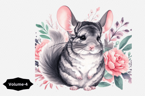 Watercolor Pet Animal Clipart: Chinchilla Design Review