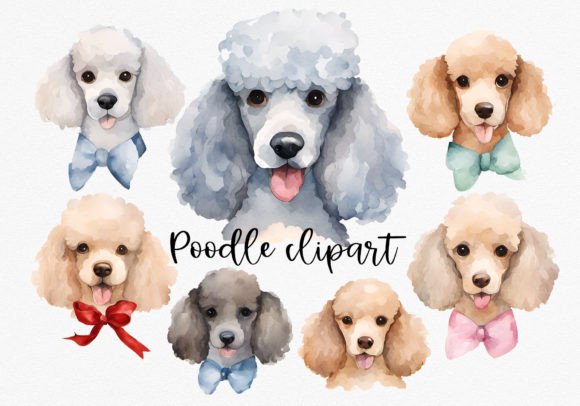 Watercolor Poodle Clipart: 7 PNGs for Illustrations